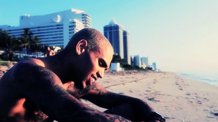 Новый клип Chris Brown - Should`ve Kissed You (2011)